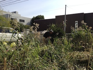 IMG_0021.jpg IMG 0021