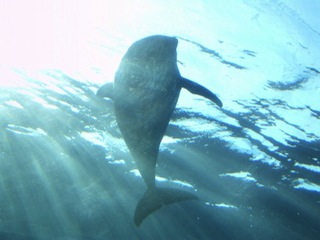 a0800_000022.jpg A0800 000022
