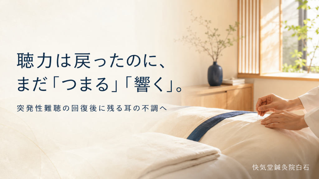突発性難聴の回復後に残る耳のつまり・音の響きの鍼灸ケア|快気堂鍼灸院白石
